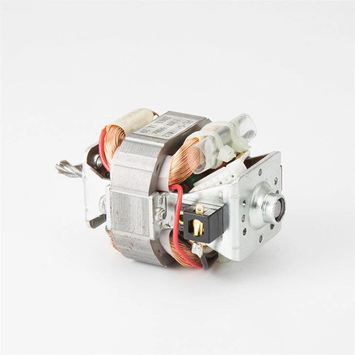 110V-230V Bldc Motor For Hair Dryer With Competitive Price